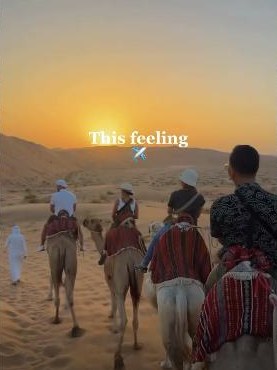 Camel trek at sunset in the desert
